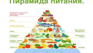 Photo of «Топ-5 продуктов для здорового образа жизни»