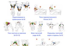 Photo of «Как правильно планировать тренировки»