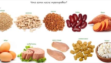 Photo of «Диета перед соревнованиями: секреты успеха»